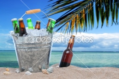 royalty-free-stock-pictures-assorted-beer-bottles-in-a-bucket-of-ice-in-the-sand-pixmac-78329609.jpg