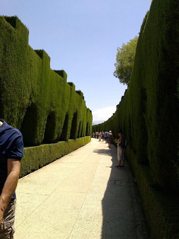 alej-Alhambra.jpg